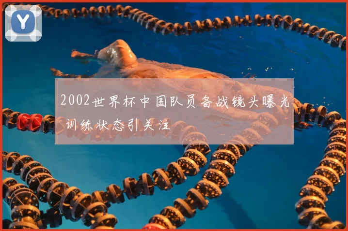 2002世界杯中国队员备战镜头曝光 训练状态引关注