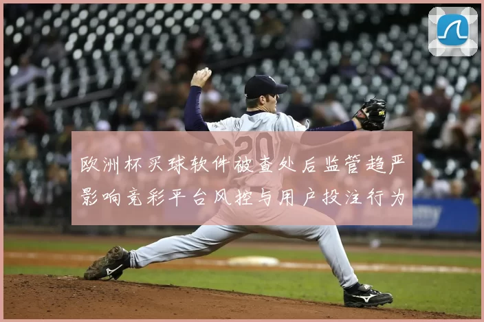 欧洲杯买球软件被查处后监管趋严影响竞彩平台风控与用户投注行为